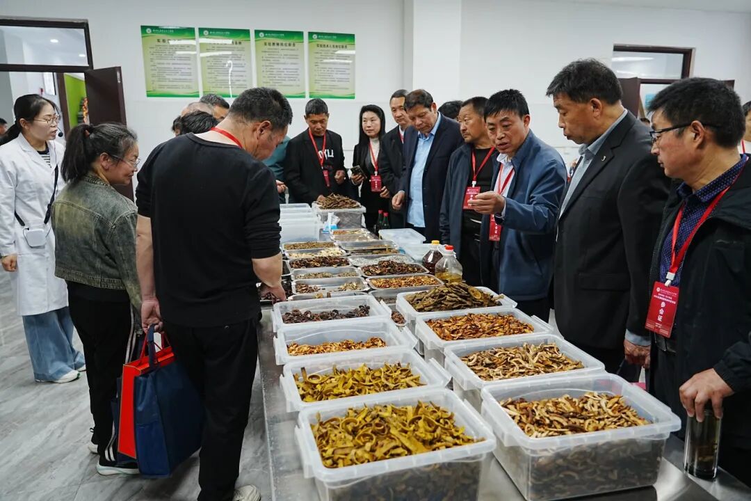 参观.jpg 参观.jpg